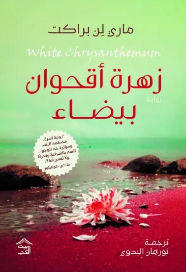 صورة زهرة أقحوان بيضاء